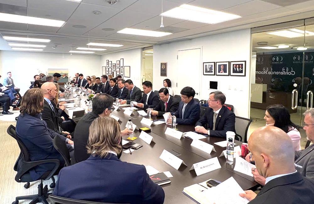Overview of the working session.